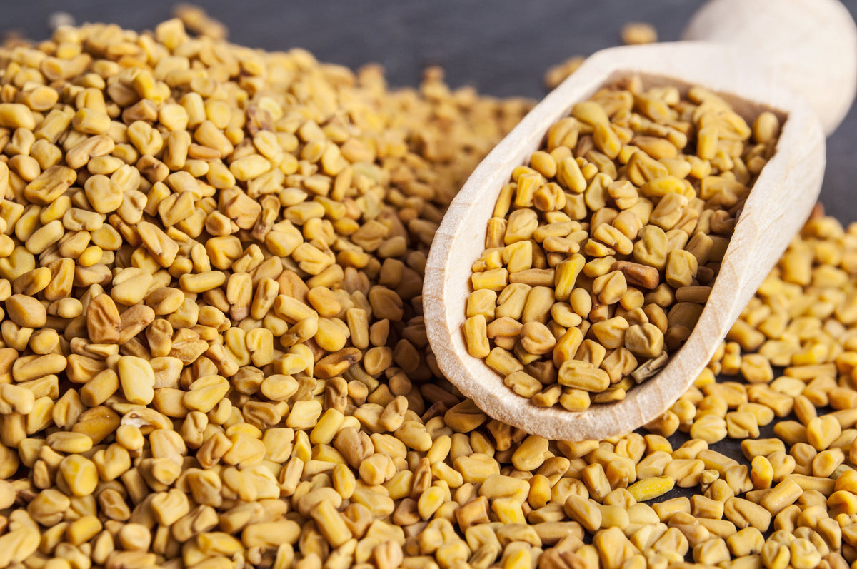 Organic Fenugreek
